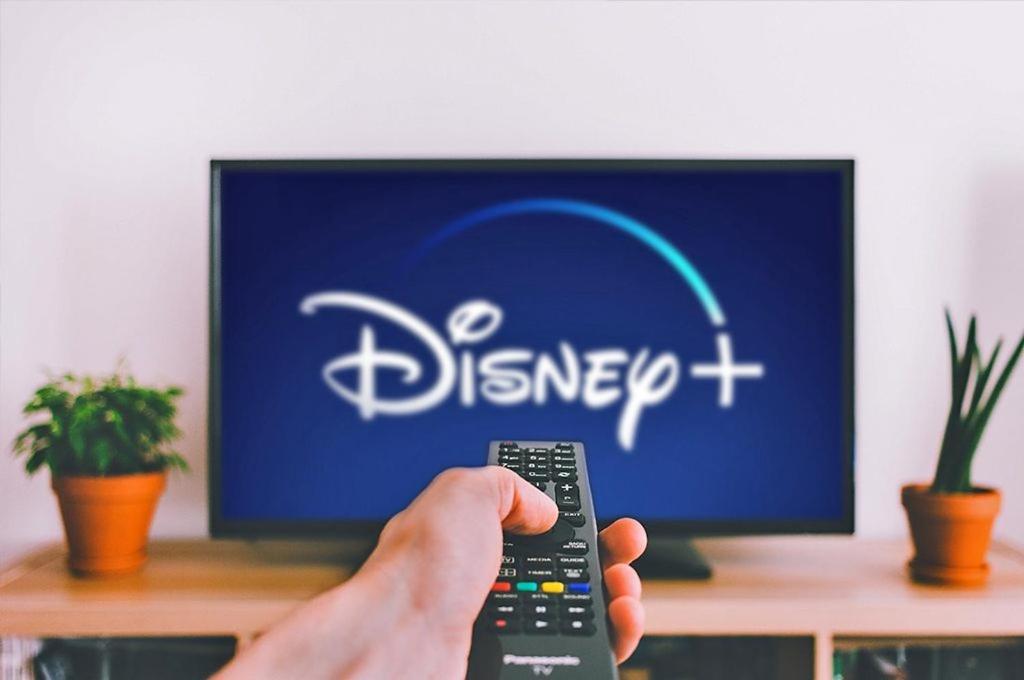 Pentru Plata Numerar Cautati Pe G00Gle, Norsk Skogkatt Galati - Big Tv Disneyplus Tv! Экстерьер фото